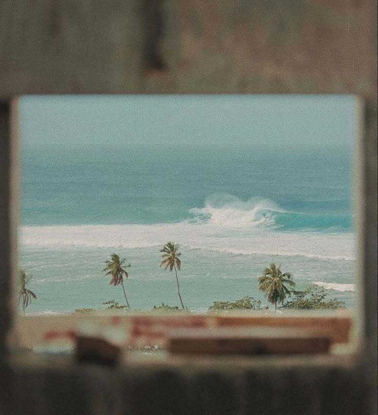 aloha howdy and hello!